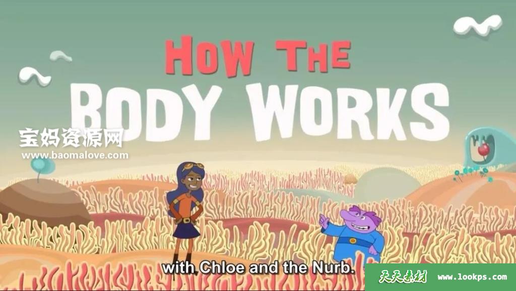 《Howyourbodyworks》你的身体如何工作英文版[全18集][英语][720P][MP4]-天天素材网
