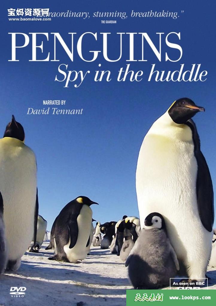 《企鹅群里有特务Penguins:SpyintheHuddle》[全3集][英语][1080P][MP4]-天天素材网