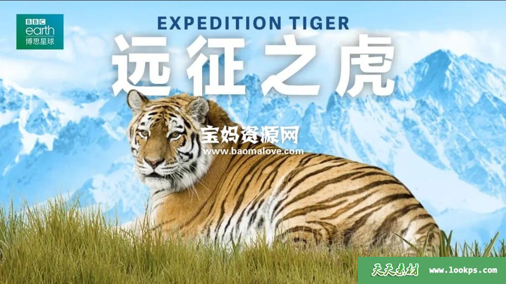 《远征之虎EXPEDITIONTIGER》[全3集][英语中字][1080P][MP4]-天天素材网