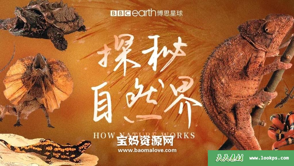 《自然的运作HowNatureWorks》[全4集][英语中字][1080P][MP4]-天天素材网
