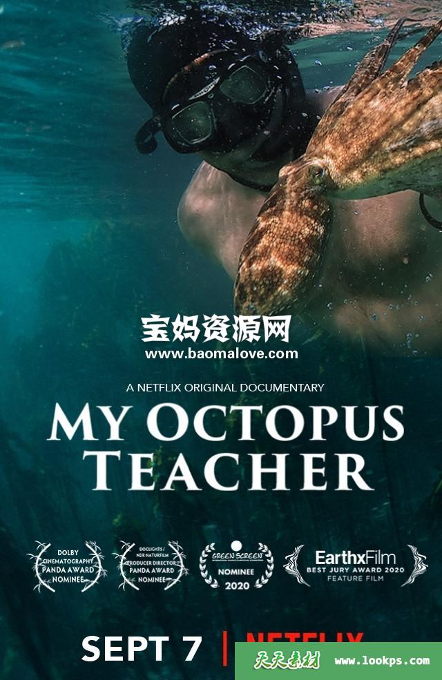 《我的章鱼老师MyOctopusTeacher》[全1集][英语][1080P][MKV]-天天素材网