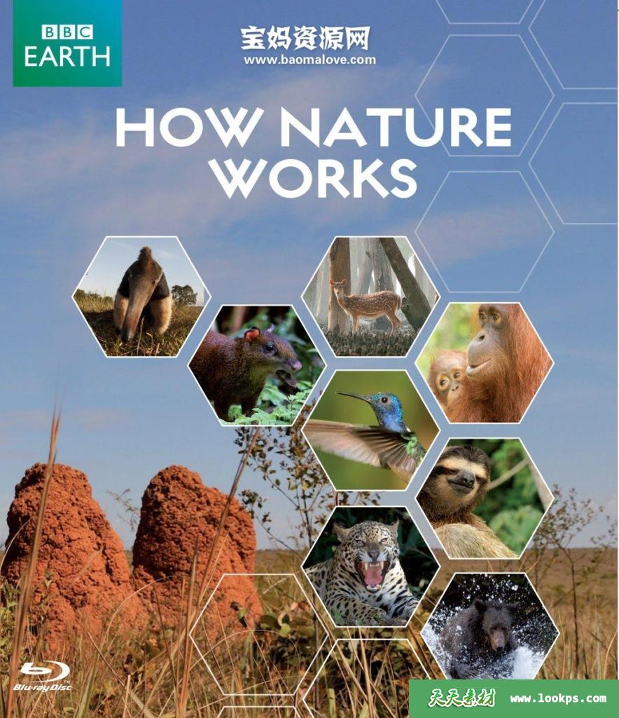 《自然的运作HowNatureWorks》[全4集][国语][1080P][MP4]-天天素材网