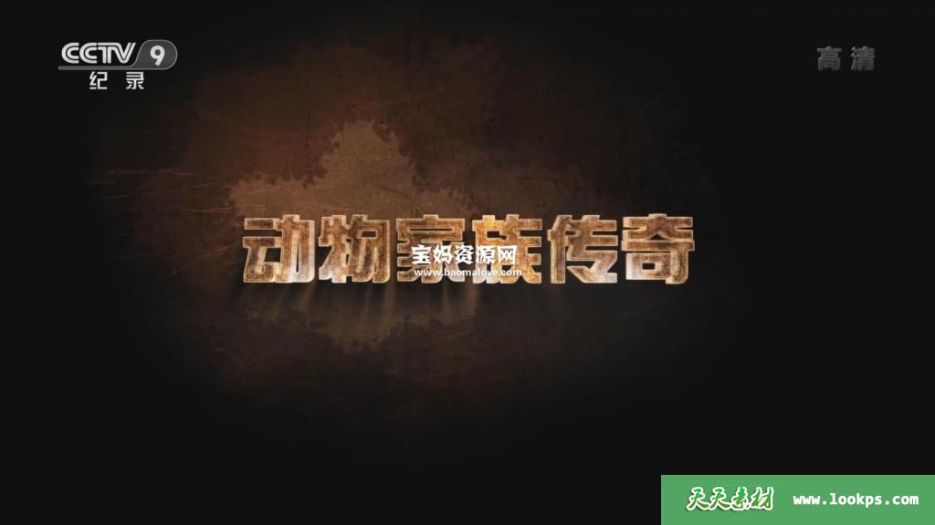 《动物家族传奇》[全6集][国语中字][1080P][MP4]-天天素材网