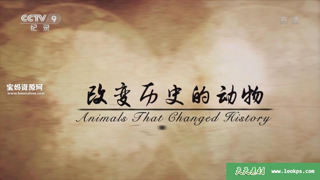 《改变历史的动物AnimalsthatChangedHistory》[全6集][国语中字][1080P][MP4]-天天素材网