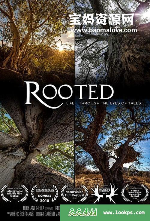 《生命之树Rooted》[全5集][国语中字][1080P][MP4]-天天素材网