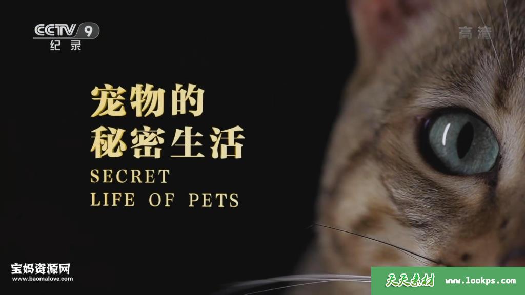 《宠物的秘密生活SecretLifeofPets》[全4集][国语中字][1080P][MP4]-天天素材网