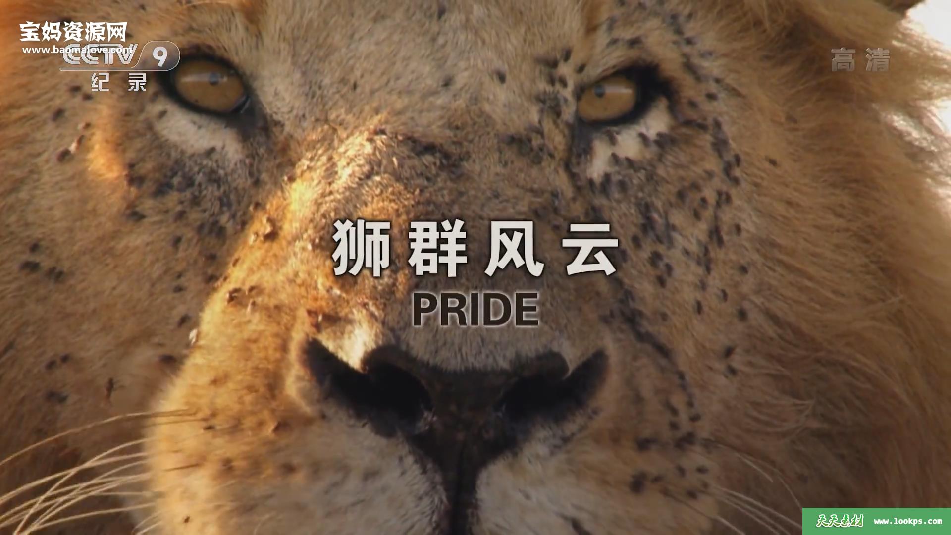 《狮群风云》[全2集][国语中字][1080P][MP4]-天天素材网