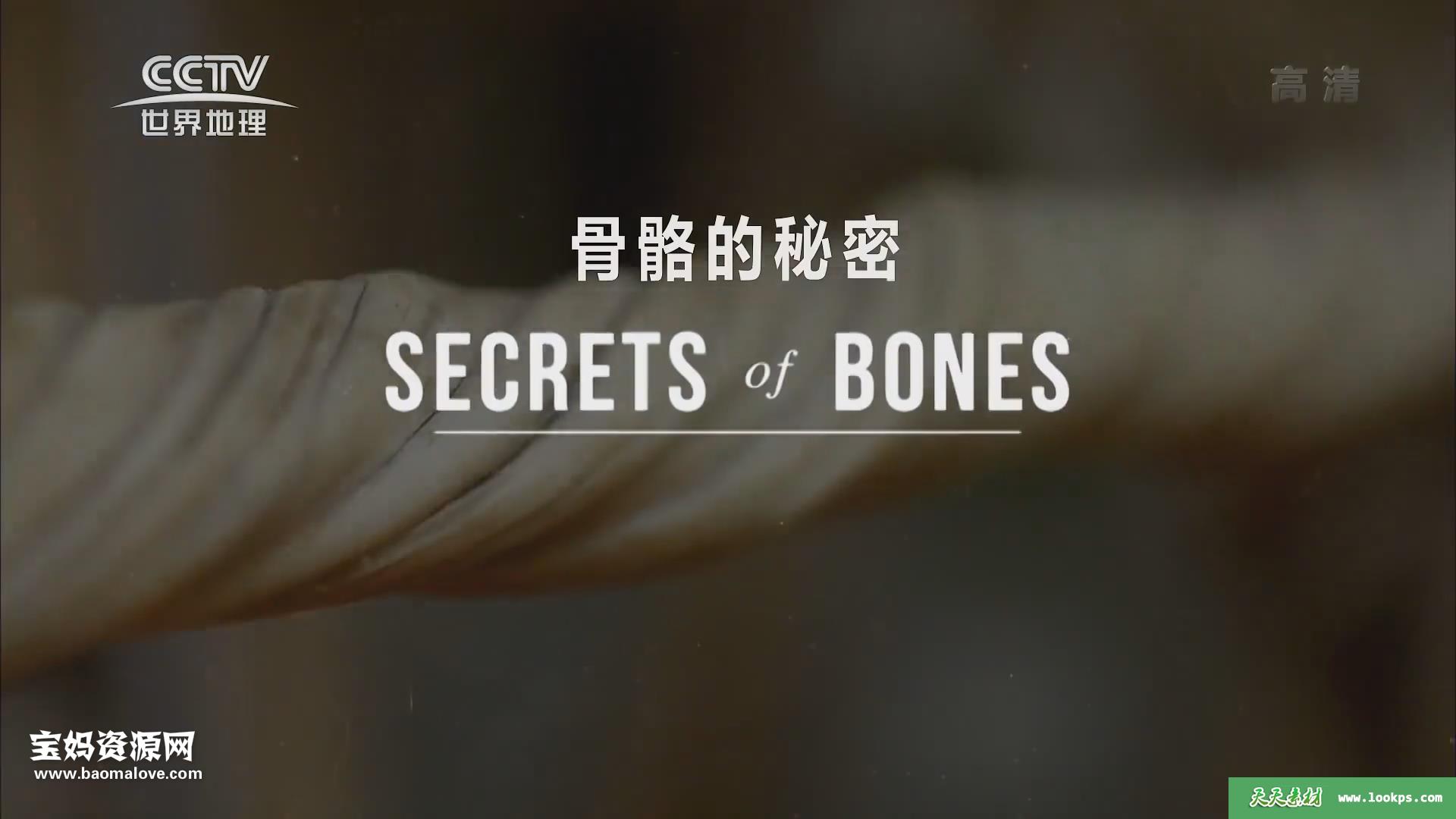 《BBC：骨骼的奥秘SecretsofBones》[全3集][英语中字][1080P][MP4]-天天素材网