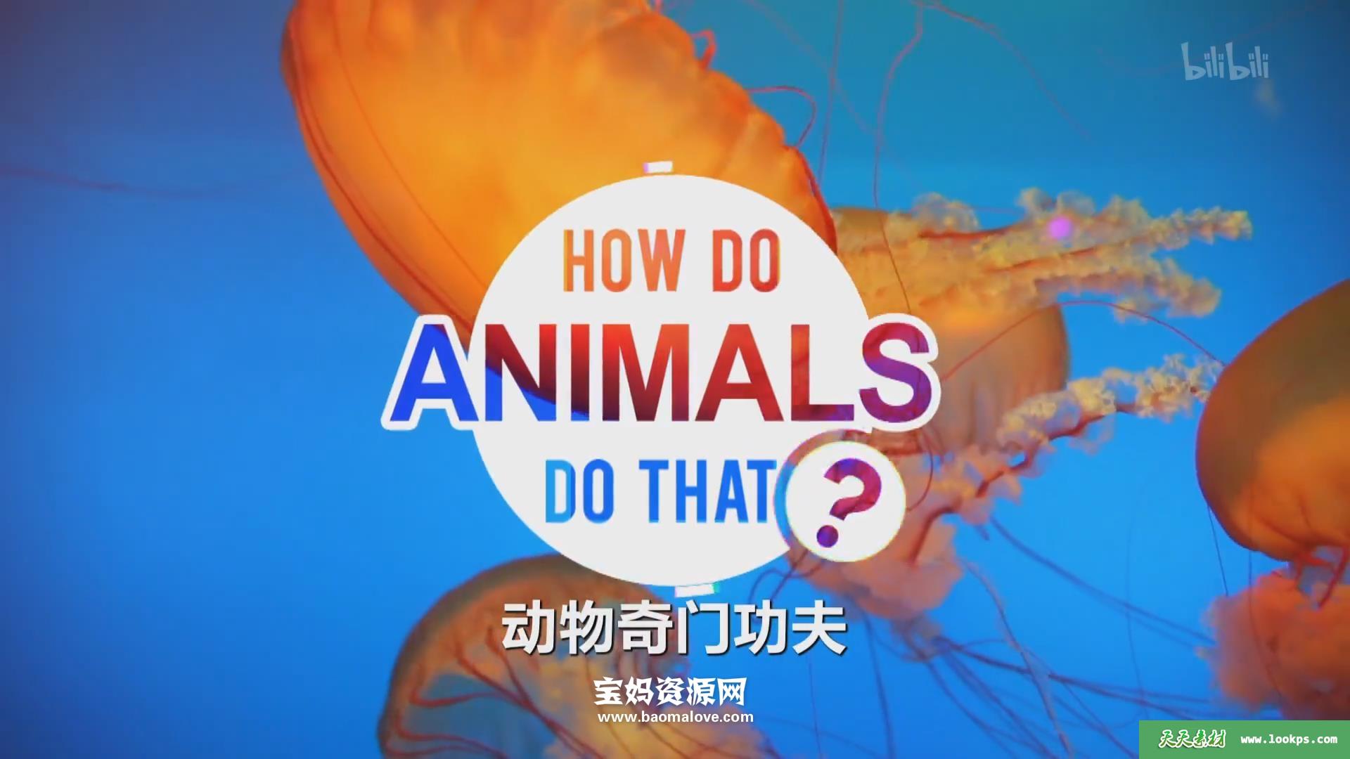 《动物奇门功夫HowDoAnimalsDoThat?》[全20集][英语中英字][1080P][MP4]-天天素材网