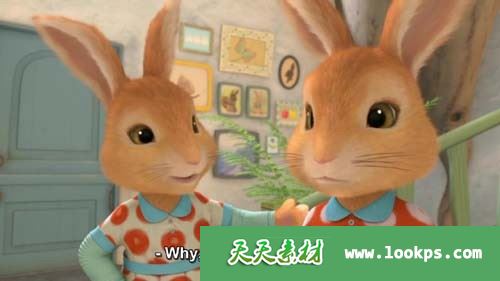 彼得兔3